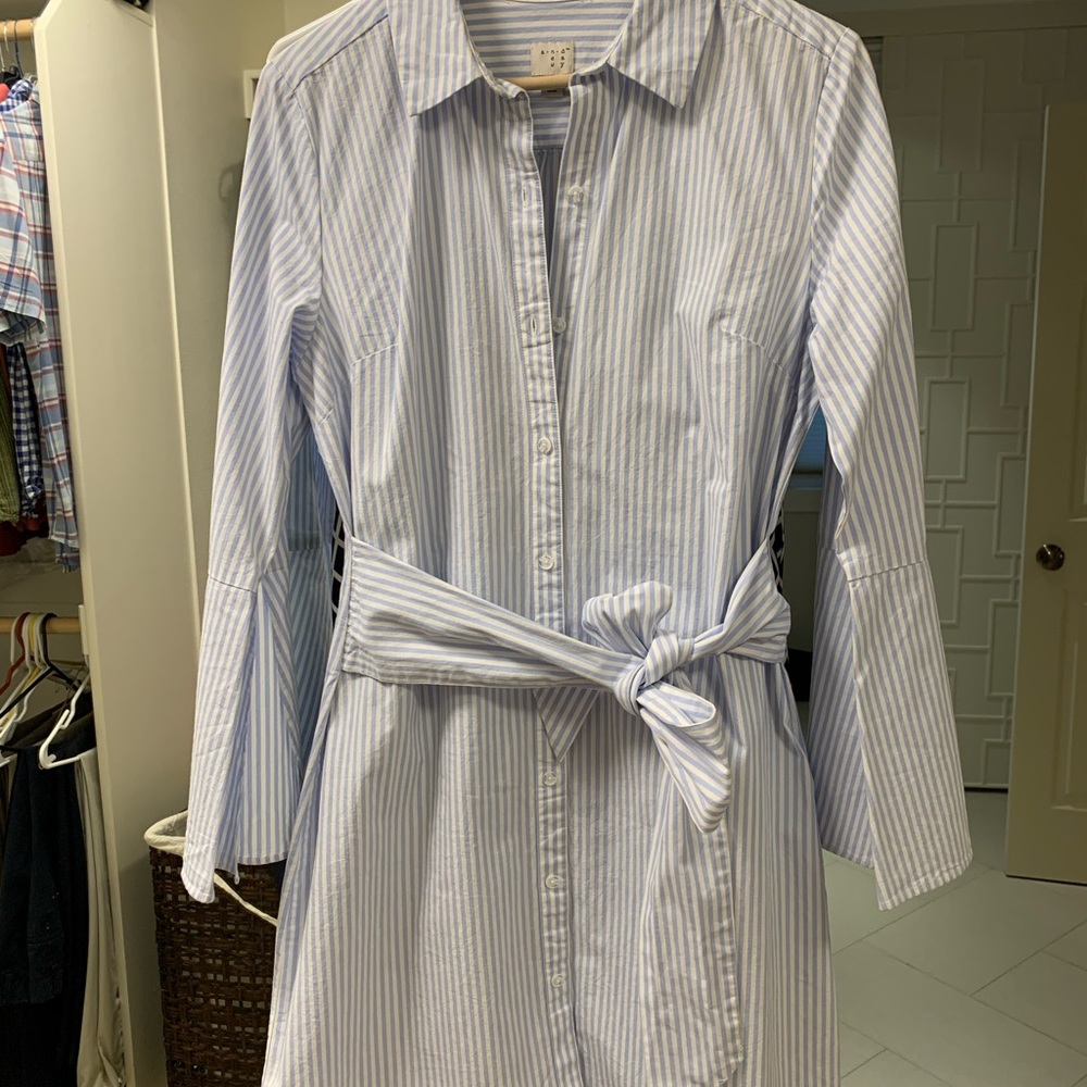 Blue and white striped Oxford dress